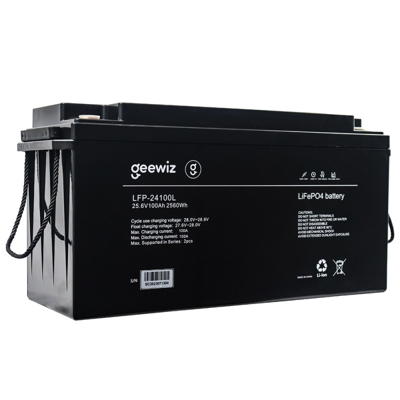 Geewiz lithium battery